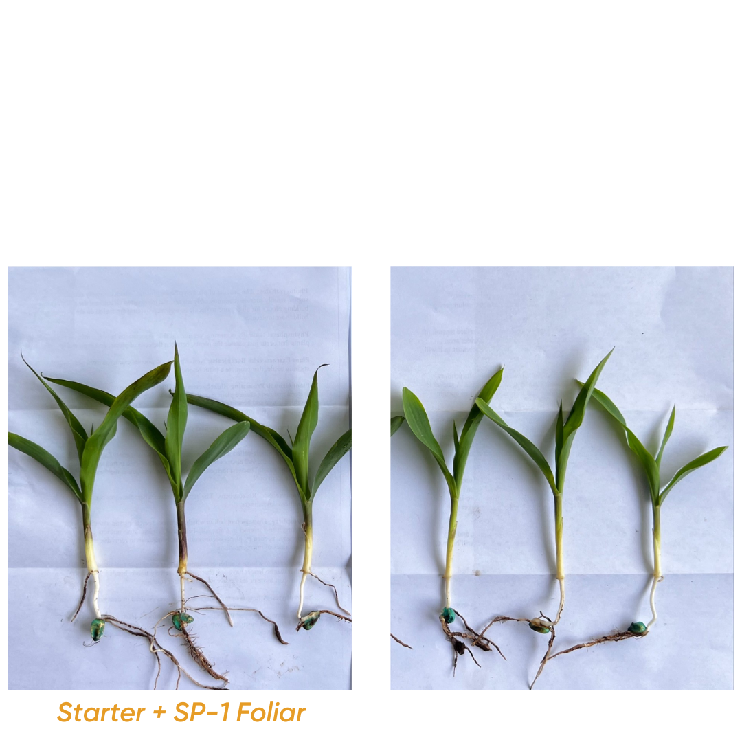 foliar data post ()